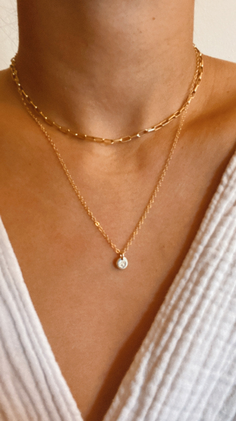 Dog Paw Mini Disc Necklace