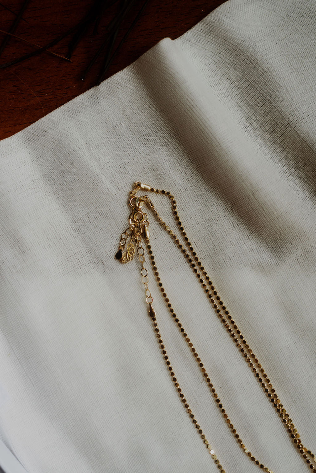 Flat Disc Shiny Necklace
