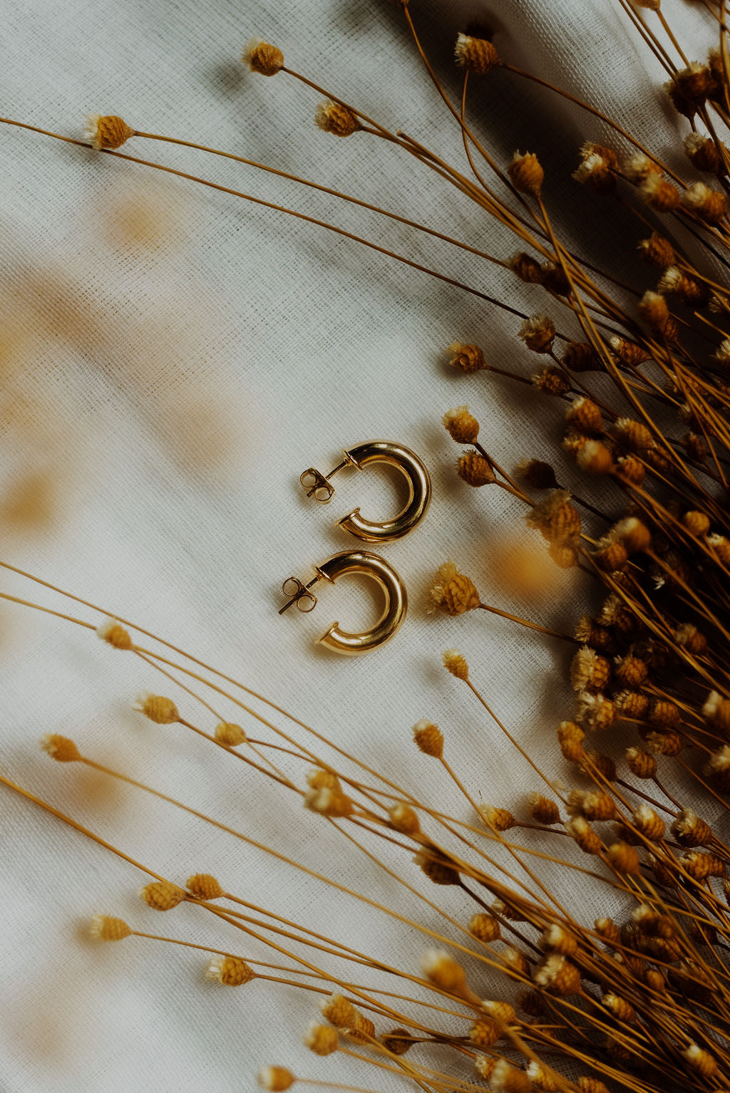 Chubby Gold Filled Hoops