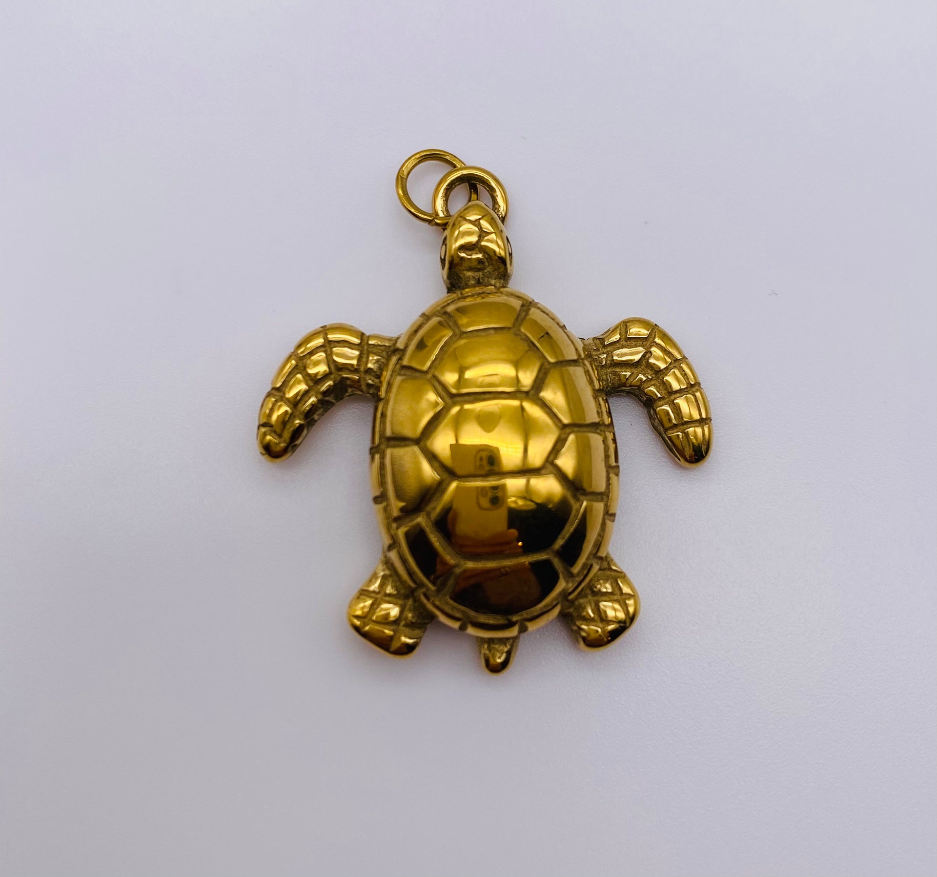 Big Turtle Charm