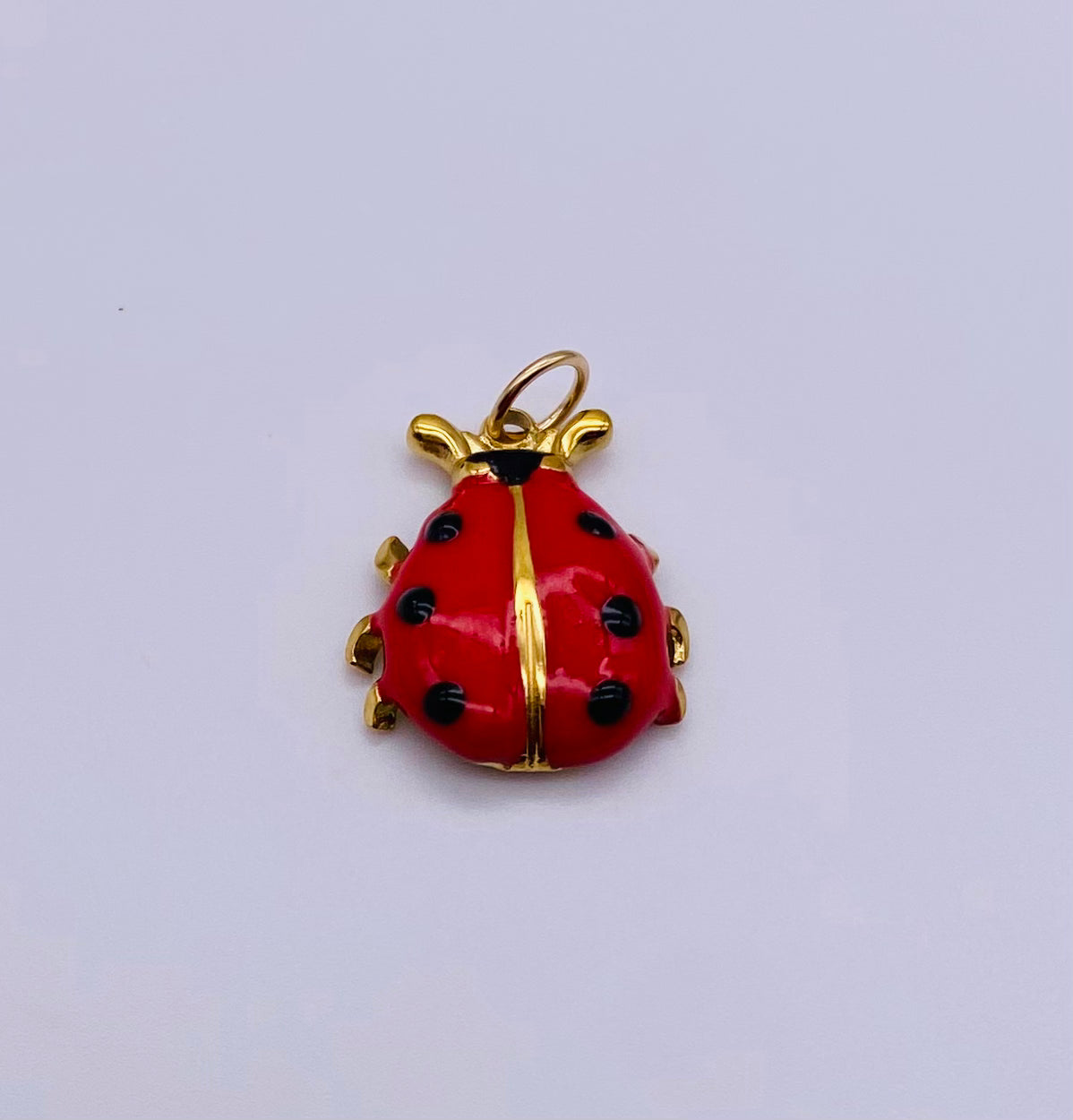 Ladybug Charm