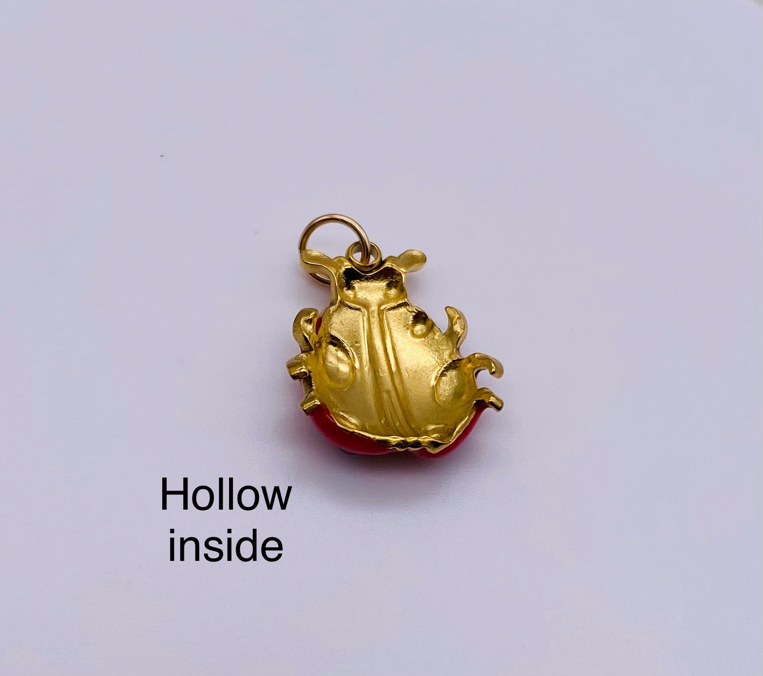 Ladybug Charm