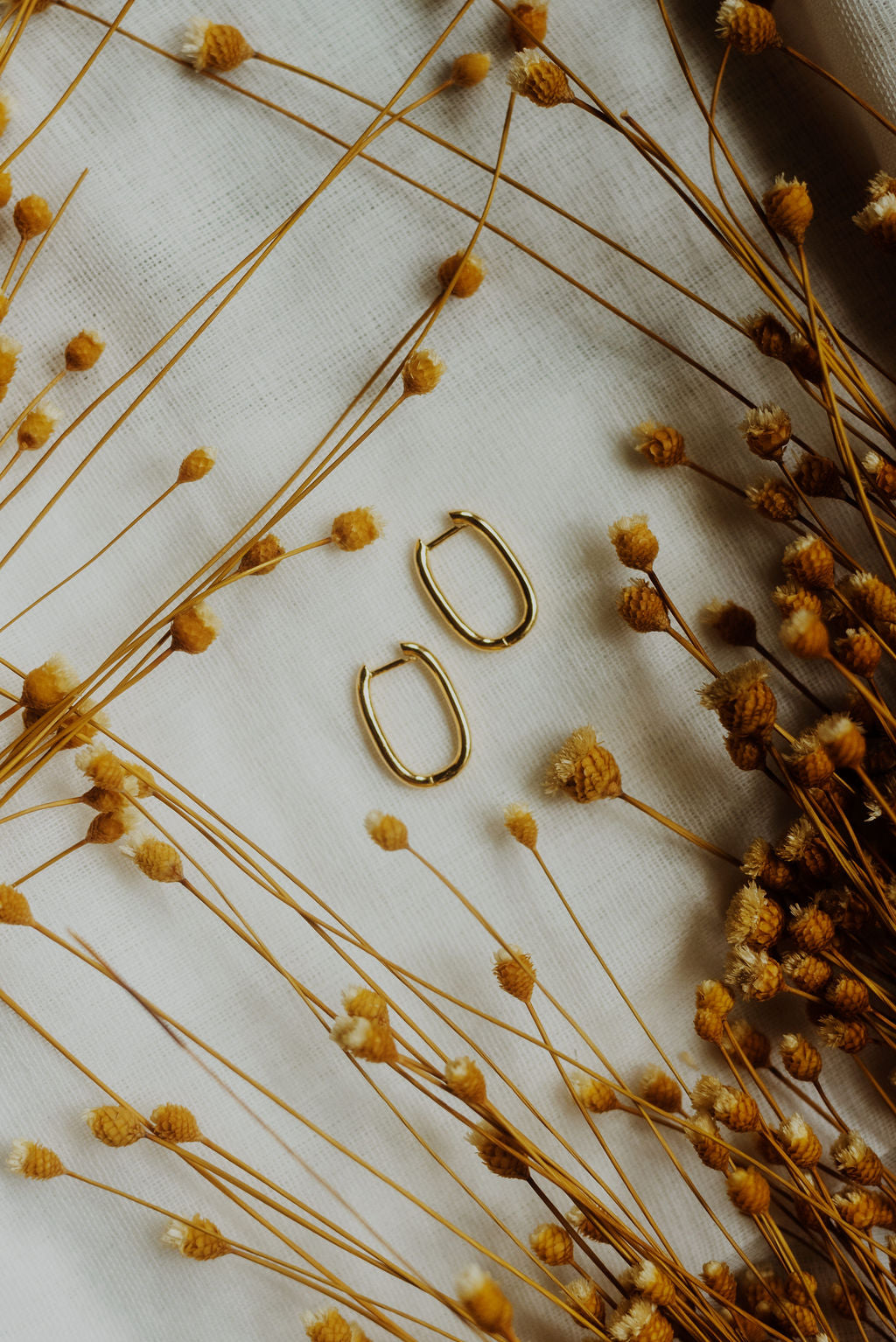 Oval Gold Filled Hoop Earrings